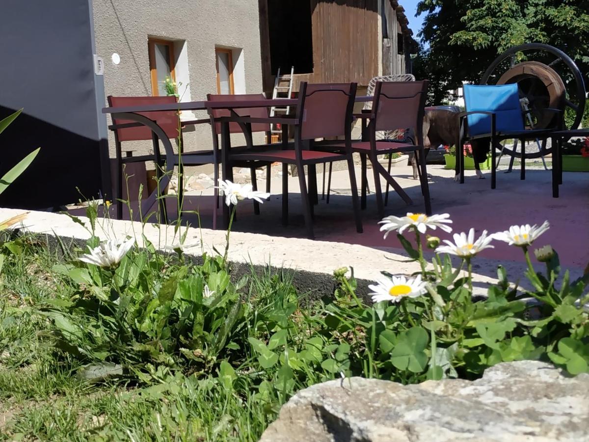 Maison D'Hotes Des Bassins D'Oche Saint-Paul-en-Chablais Bagian luar foto